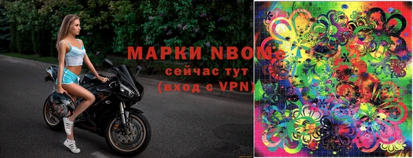 кокс Алексин