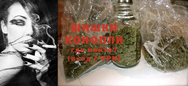 дживик Зеленокумск