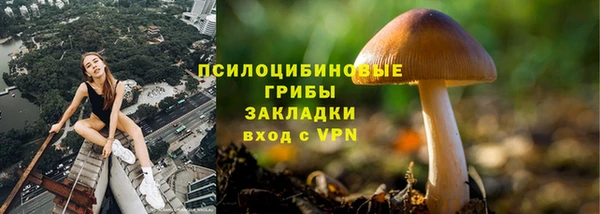 кокс Алексин
