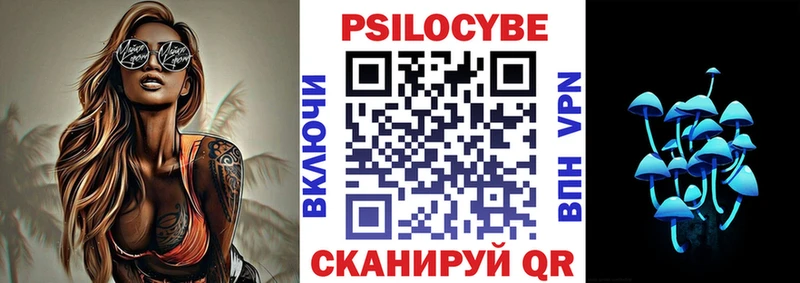 дарк нет как зайти  Чехов  Галлюциногенные грибы ЛСД 